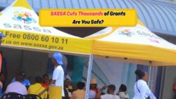 SASSA Halts Thousands of Grants—Is Your Grant in Jeopardy?